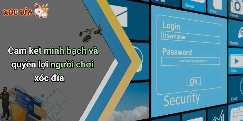Cam kết minh bạch và quyền lợi người chơi xóc đĩa