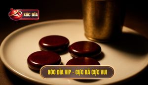 Xóc đĩa Vip – Cực đã Cực Vui