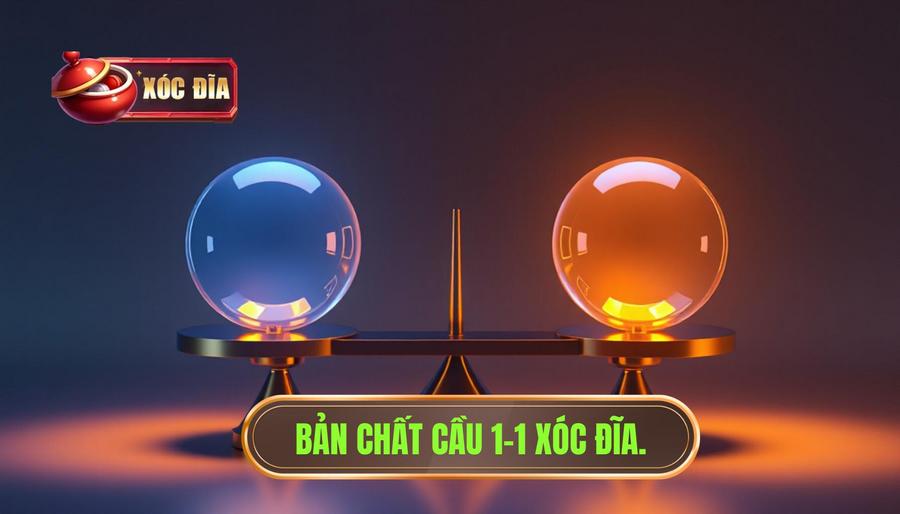 1. Bản Chất Cầu 1 1 Xóc đĩa.