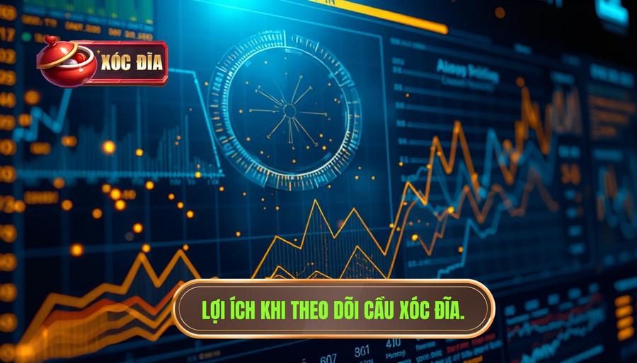1. Lợi ích Khi Theo Dõi Cầu Xóc đĩa.
