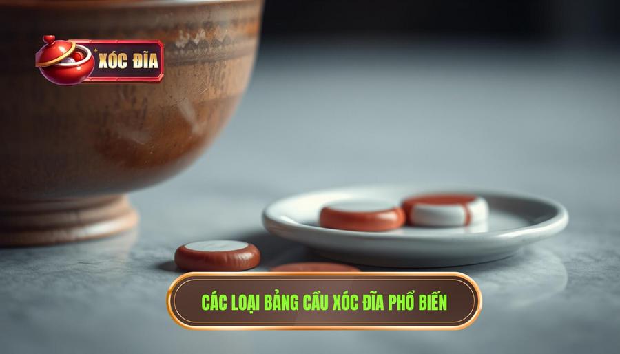2. Các Loại Bảng Cầu Xóc đĩa Phổ Biến