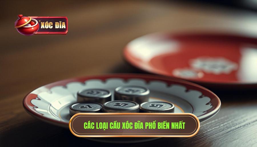 2. Các Loại Cầu Xóc đĩa Phổ Biến Nhất