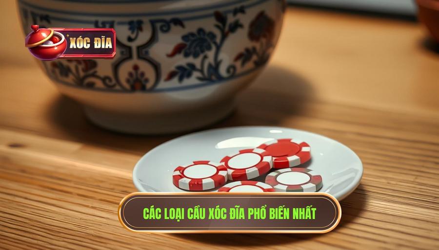 2. Các Loại Cầu Xóc đĩa Phổ Biến Nhất