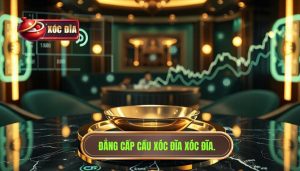 Đẳng Cấp Cầu Xóc đĩa XÓc ĐĨa.